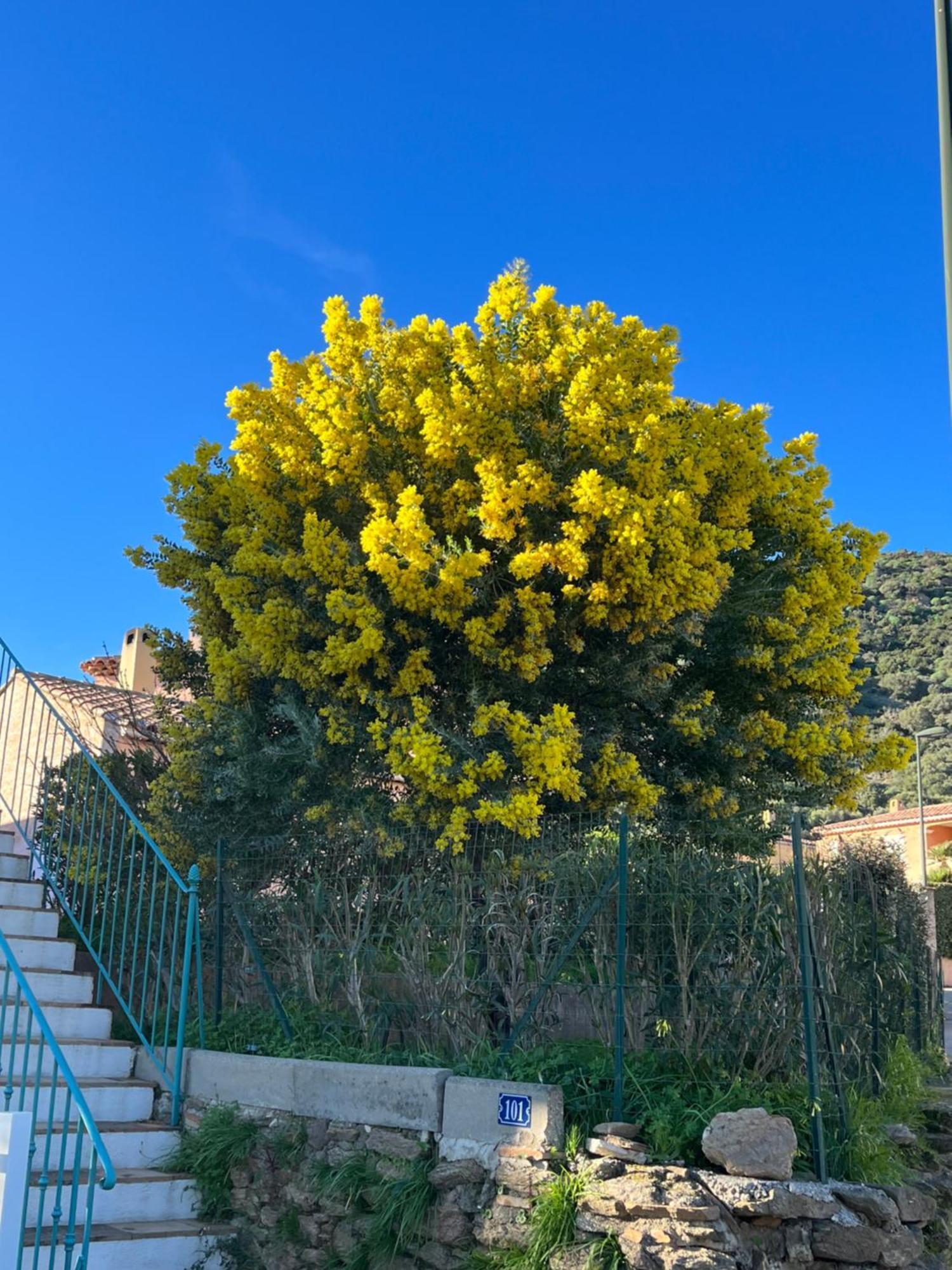 Le Lavandou St Clair Exteriér fotografie