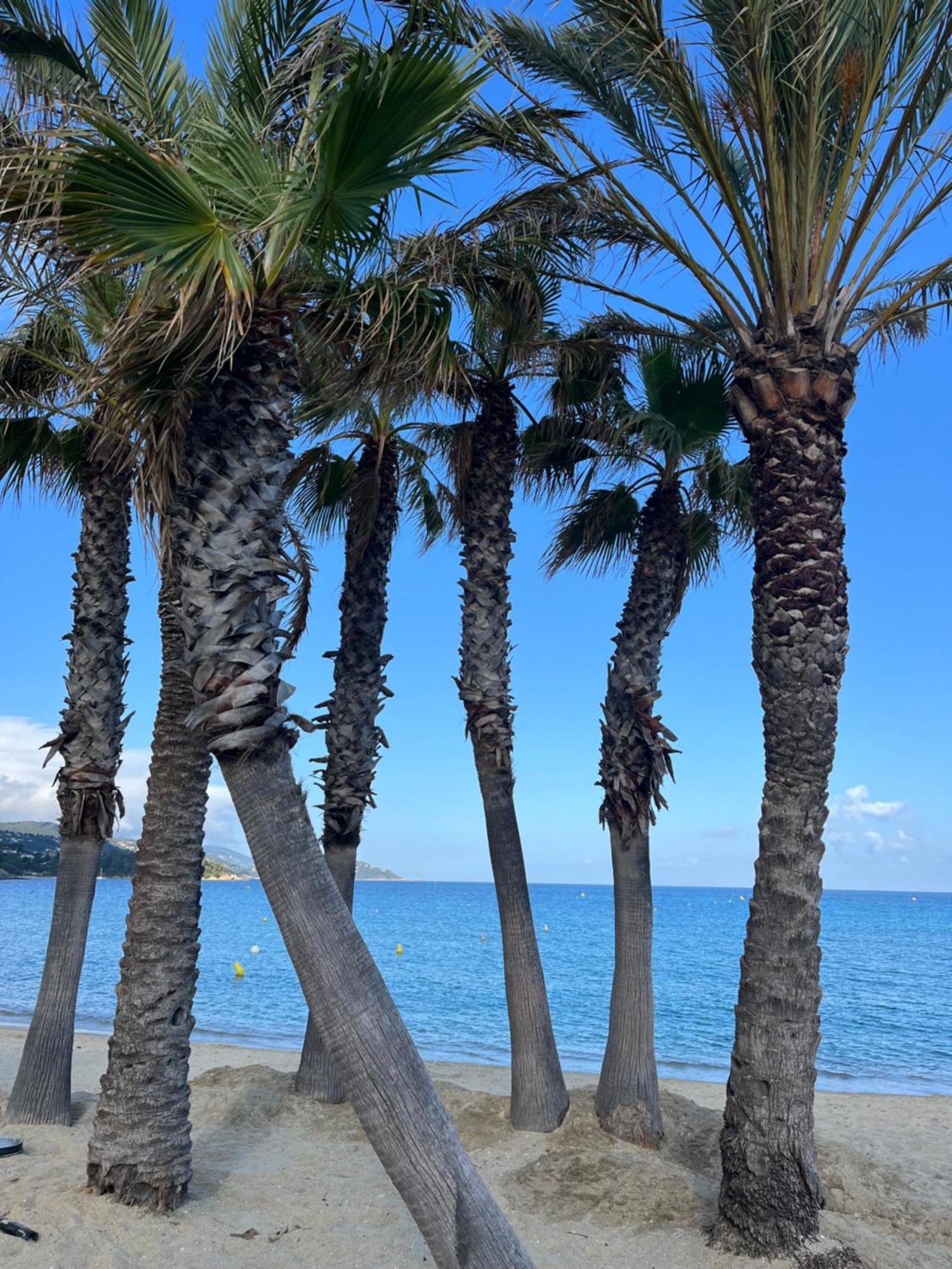Le Lavandou St Clair Exteriér fotografie